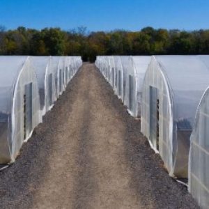 Greenhouse For Sale